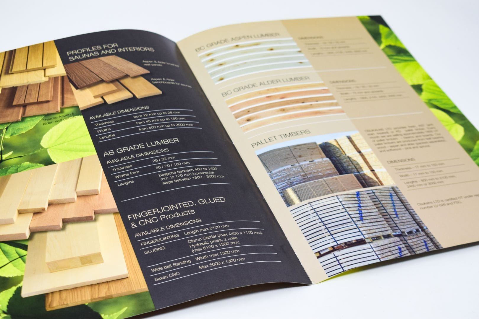 large_670379285ec4dcae46d