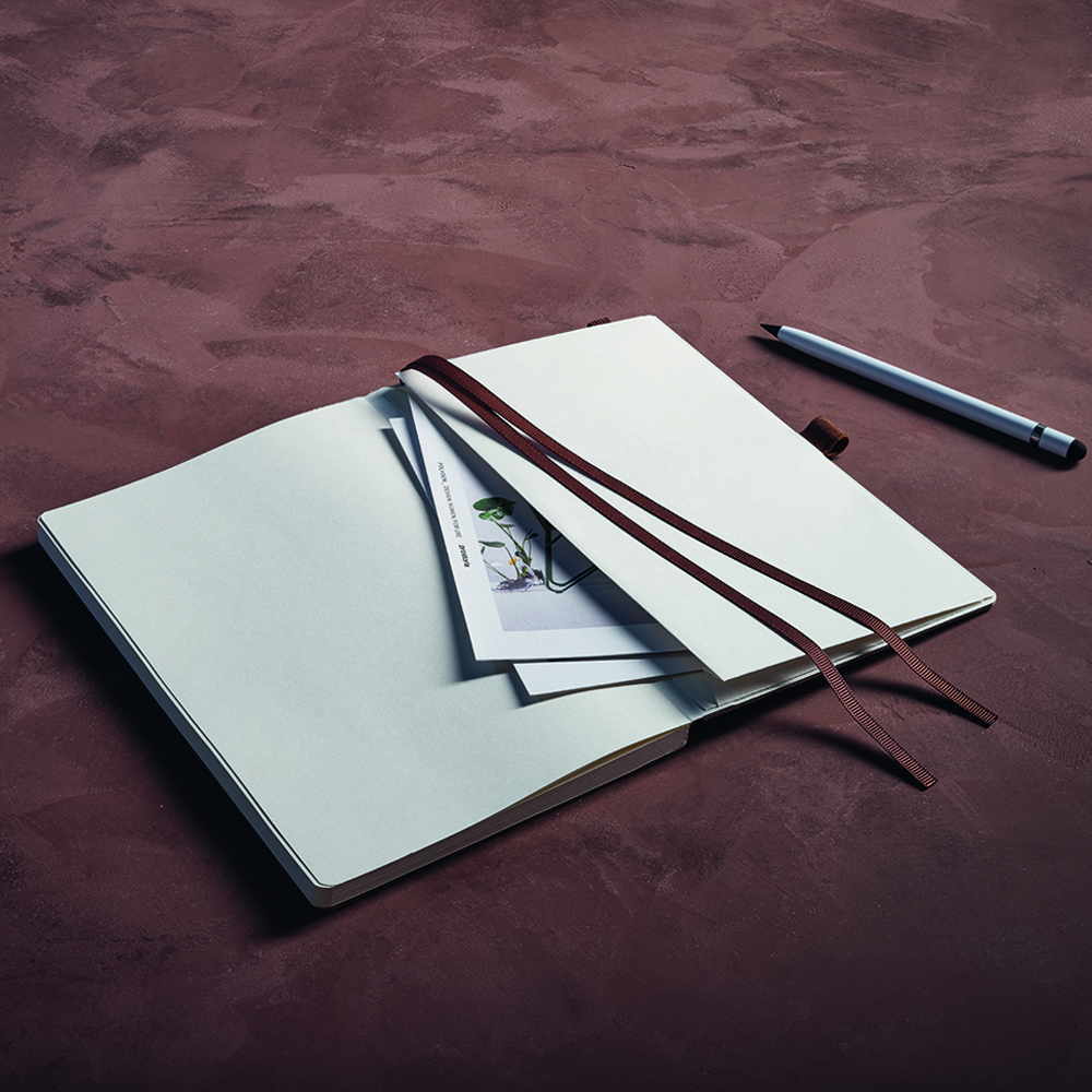 Stacked from 3 images. Method=B (R=8,S=4)