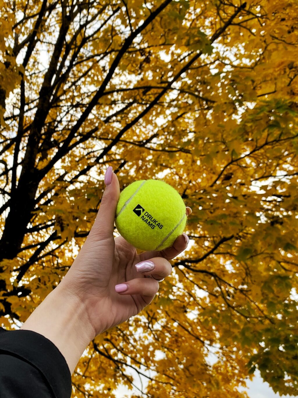 Instagram post from drukasnams. This post is in position 2.