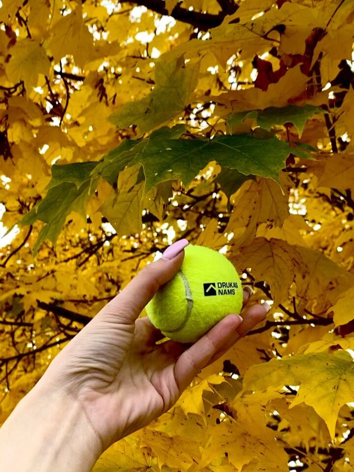 Instagram post from drukasnams. This post is in position 1.